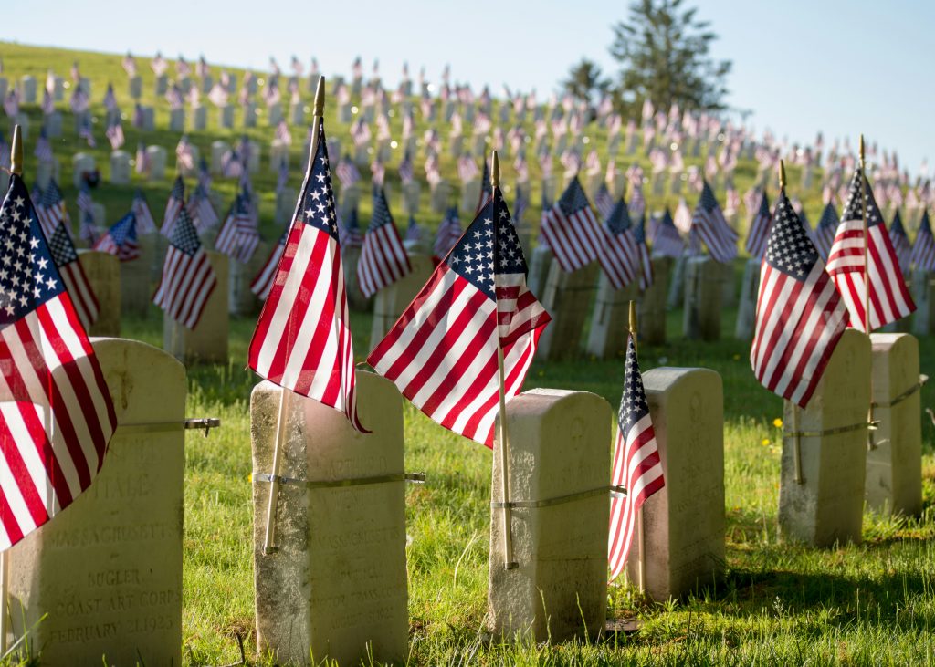 A series of American flags is displayed in a cemetery, paying tribute to the sacrifices made by the nation's veterans.