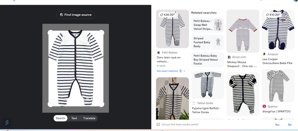 Capture showing how Google Lens works