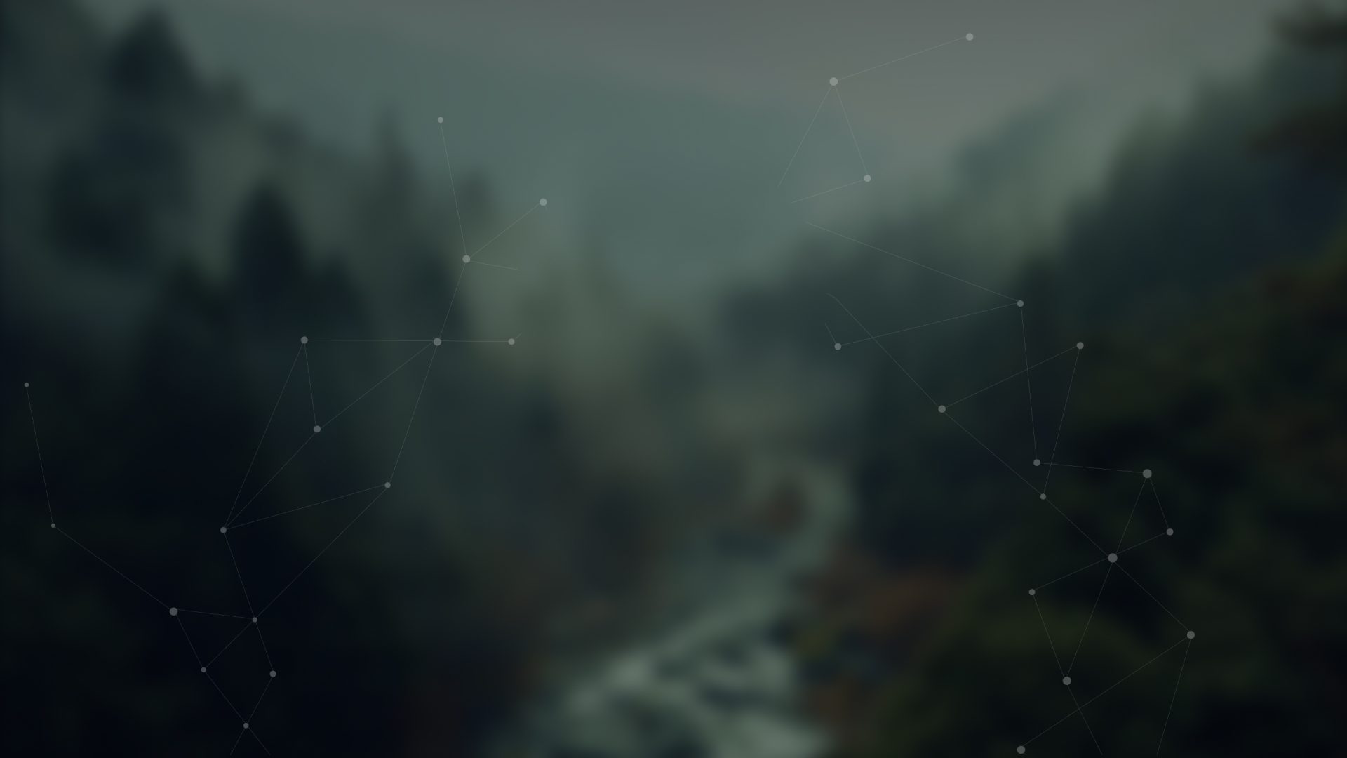 SEO & Organic Growth