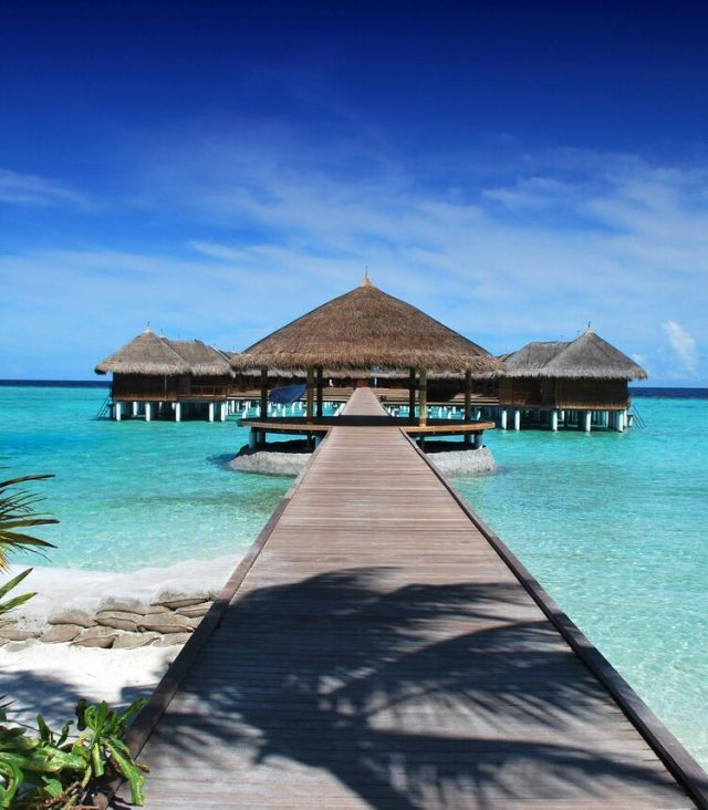 Hotel & Hospitality Industry