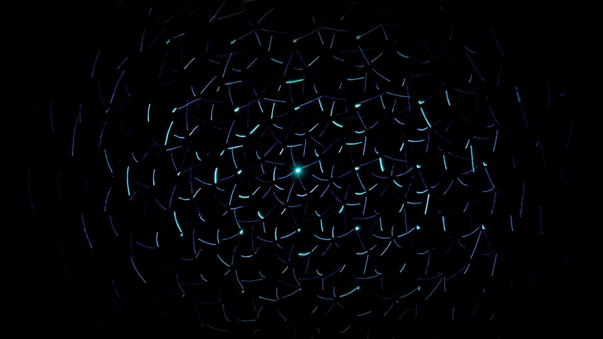 Domain Structures