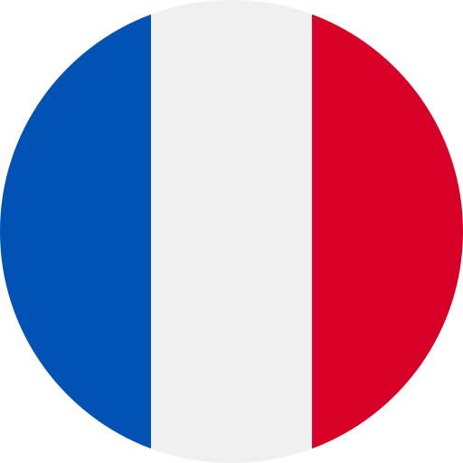 Cultural & Technical Challenges for France<br />
