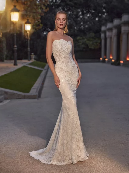 Pronovias Background