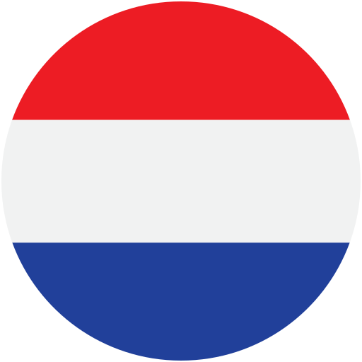 Cultural & Technical Challenges for the Netherlands