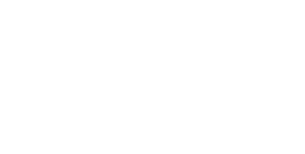ProChile Logo