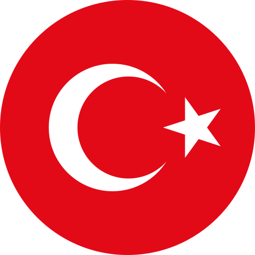 Cultural & Technical Challenges for Turkey