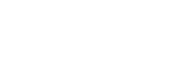 BNP Paribas Real Estate Logo